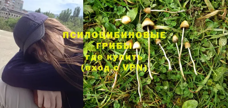 Псилоцибиновые грибы Magic Shrooms  Лиски 